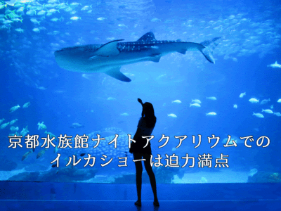 京都水族館でナイトアクアリウム